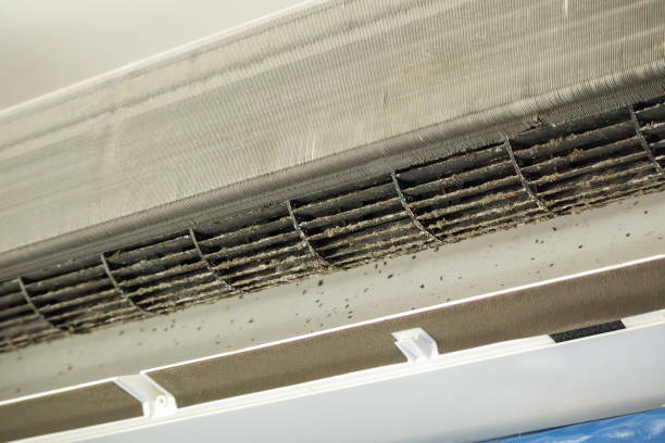 Best Air Duct Cleaning Near Me  in South Amboy, NJ